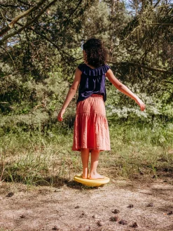 Piedra de equilibrio Board