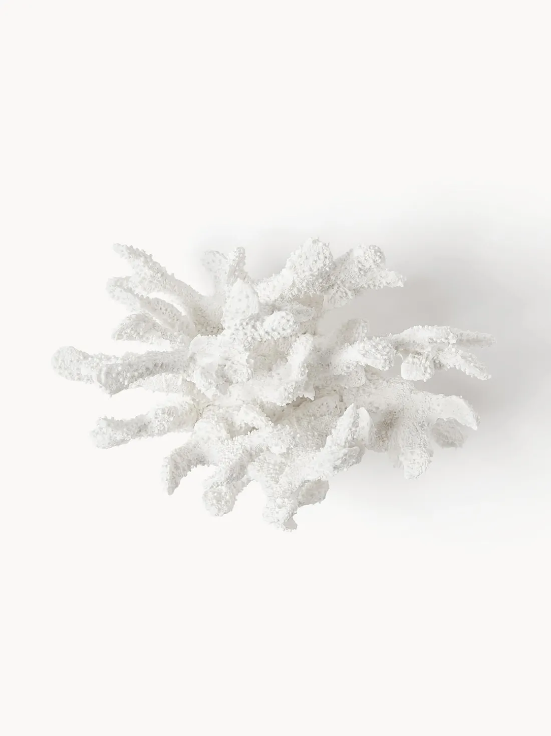 Pieza decorativa de diseño Coral