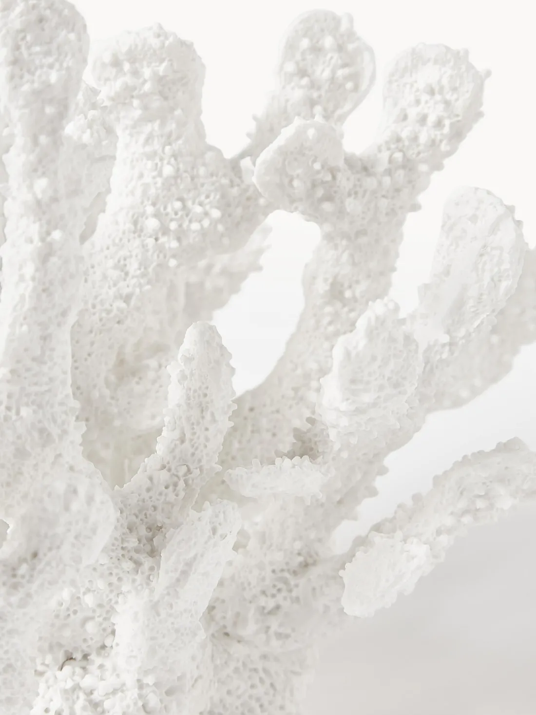 Pieza decorativa de diseño Coral