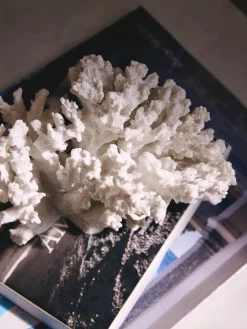 Pieza decorativa de diseño Coral