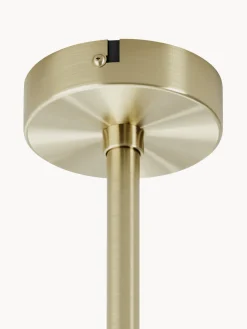 Plafón de diseño Peony