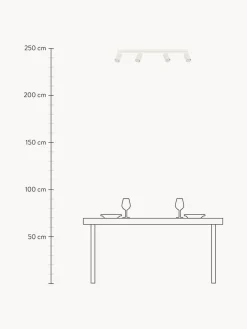 Plafón grande Gleam