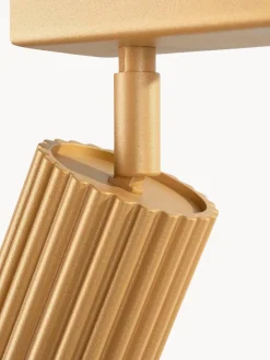 Plafón Spotlight Gleam