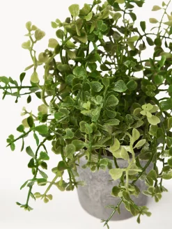 Plantas artificiales con macetas Timothy, 3 uds.