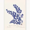 Póster enmarcado Botanical Fern III Blue