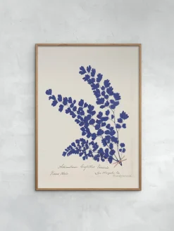 Póster enmarcado Botanical Fern III Blue