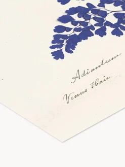 Póster enmarcado Botanical Fern III Blue