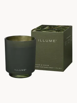 Recambio de vela perfumada Refill (agujas de pino, canela y musgo de roble)