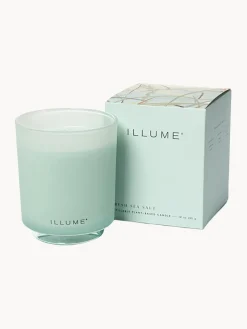 Recambio de vela perfumada Refill (jazmín y brisa marino salado)