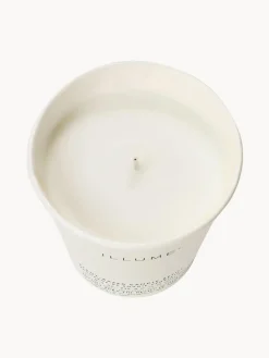 Recambio de vela perfumada Refill (agujas de pino, canela y musgo de roble)