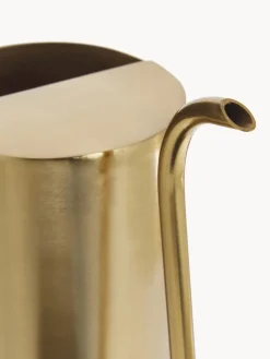 Regadera pequeña Brass