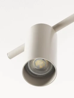 Riel grande Cassandra