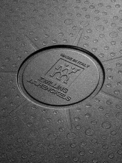 Sartén de metal Shine