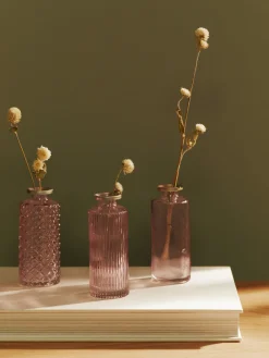 Set de jarrones pequeños de vidrio Adore, 3 uds.