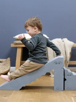 Set de tobogán y escalada Dino, 2 pzas.