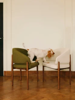 Silla con reposabrazos Nemo