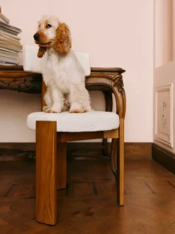 Silla de madera con tapizado bouclé Katya