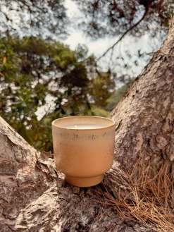 Vela perfumada artesanal de dos mechas 70´s (menta y lirio de los valles)