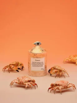 Vela perfumada artesanal Cancer (bergamota y vetiver)