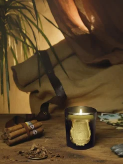 Vela perfumada artesanal Solis Rex (corteza de abeto)