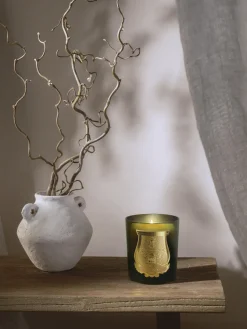 Vela perfumada artesanal Solis Rex (corteza de abeto)