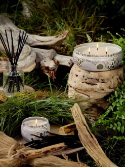 Vela perfumada artesanal de tres mechas Japonica Collection (Santal, vainilla Bourbon francesa y oud)