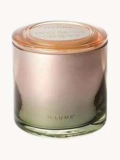 Vela perfumada de tres mechas Statement (coco, mango y vainilla de Tahití)