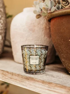 Vela perfumada My First Baobab Brussels (cedro, sándalo y miel)