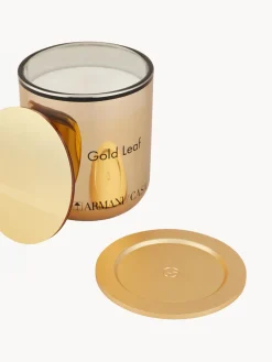 Vela perfumada Pegaso Gold Leaf (jengibre, cardamomo y pimienta rosa)