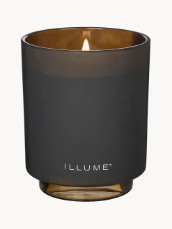 Vela perfumada Refill (madera de cedro, gamuza & ámbar)