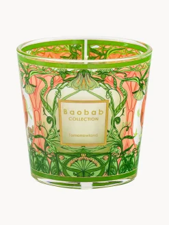 Vela perfumada soplada My First Baobab Tomorrowland 2024 (pera, lirio de los valles y musgo)