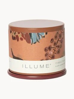 Vela perfumada Vanity Tin (almizcle de cachemira, hoja de tabaco y naranja)