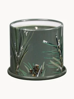 Vela perfumada Vanity Tin (agujas de pino, canela y musgo de roble)