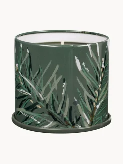 Vela perfumada Vanity Tin (agujas de pino, canela y musgo de roble)